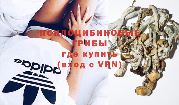 дурь Алексин