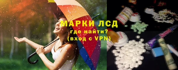 ГАЛЛЮЦИНОГЕННЫЕ ГРИБЫ Алзамай