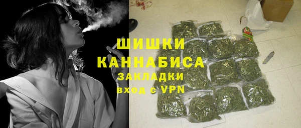 ГАЛЛЮЦИНОГЕННЫЕ ГРИБЫ Алзамай